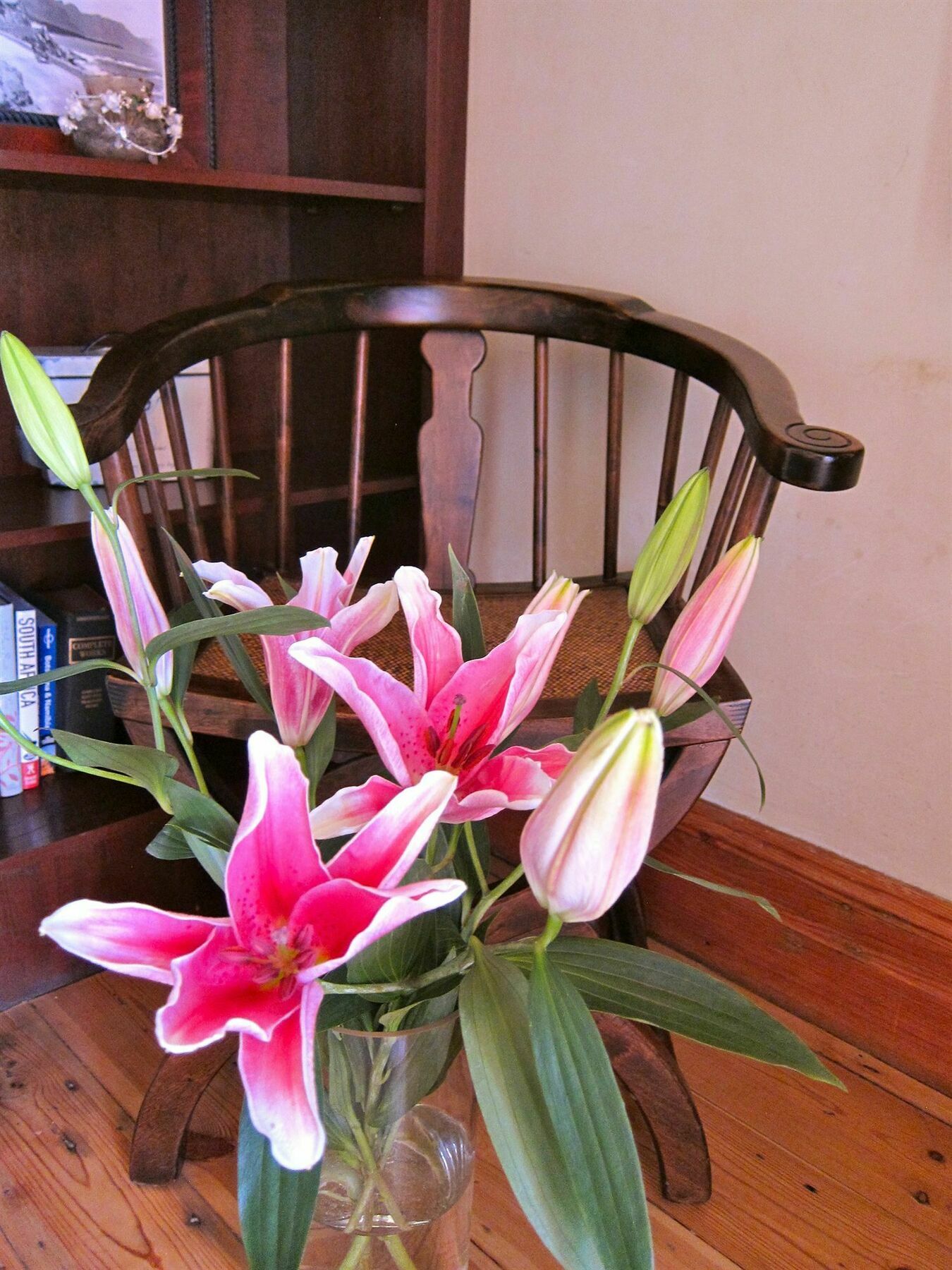Avatara Bed & Breakfast Cape Town Dış mekan fotoğraf