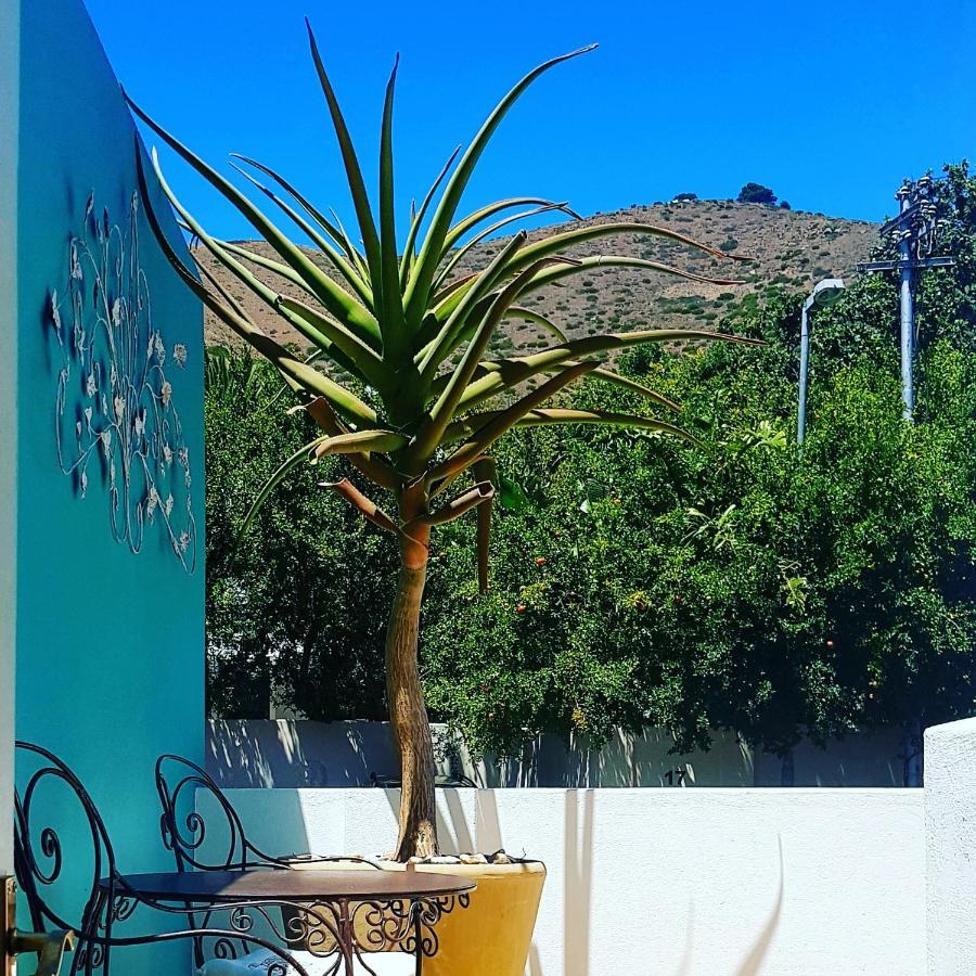 Avatara Bed & Breakfast Cape Town Dış mekan fotoğraf